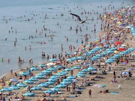 студио Burgasz